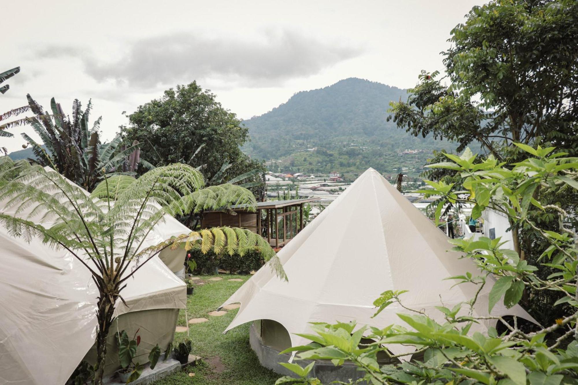 Alamu Eco Lodge Bedugul  Extérieur photo