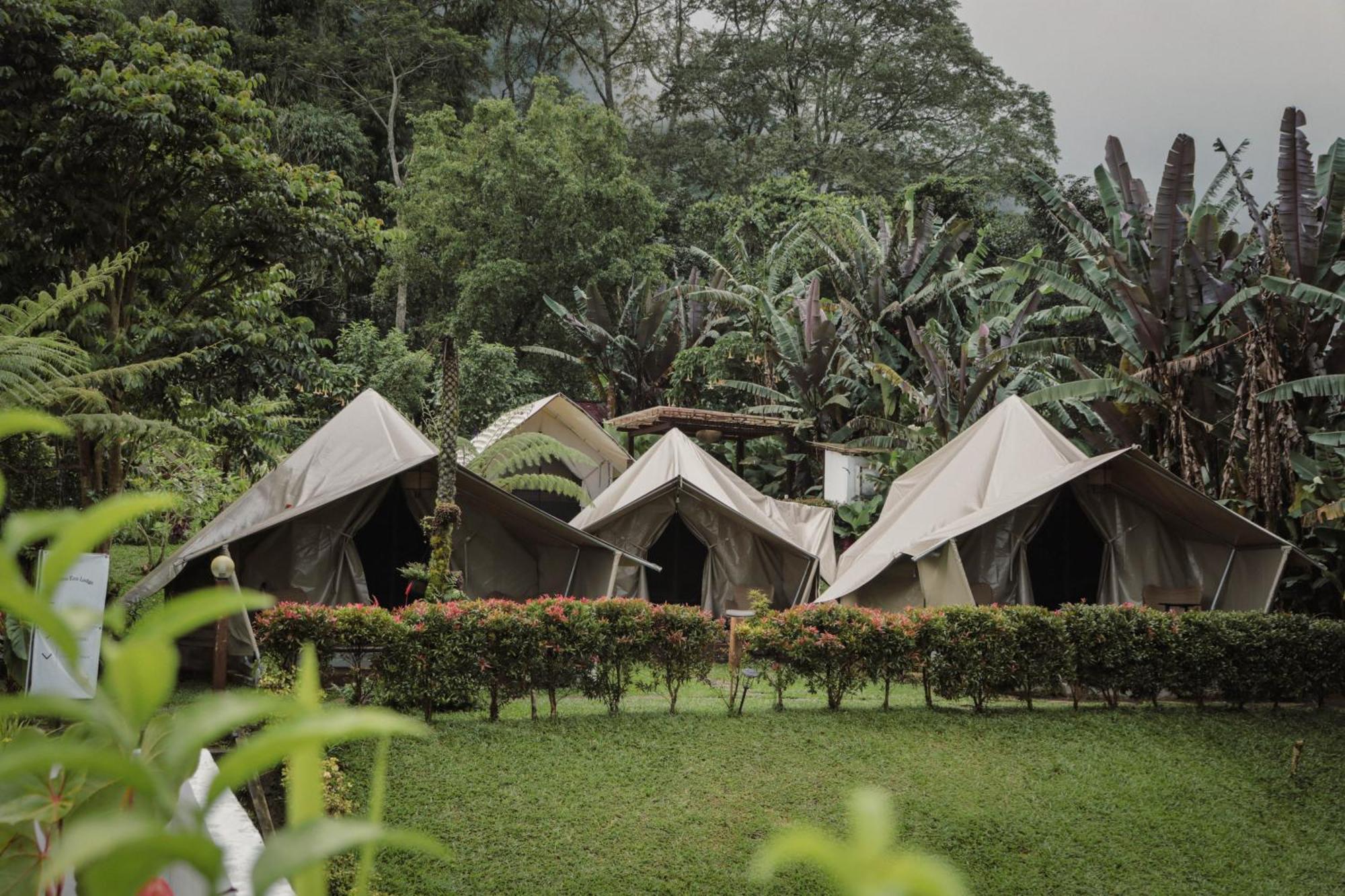 Alamu Eco Lodge Bedugul  Extérieur photo