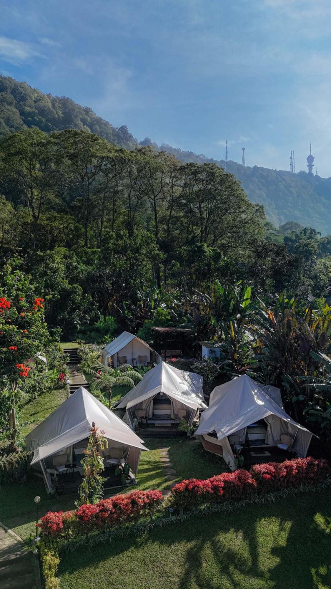 Alamu Eco Lodge Bedugul  Extérieur photo