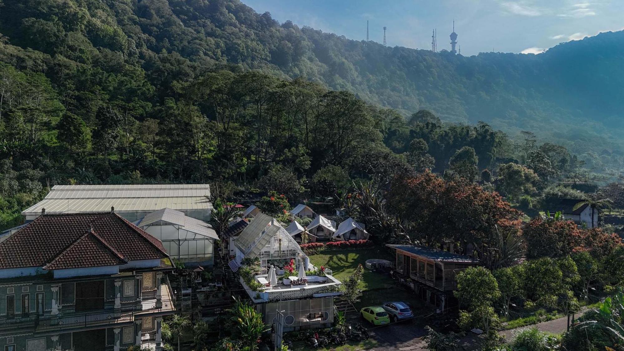 Alamu Eco Lodge Bedugul  Extérieur photo