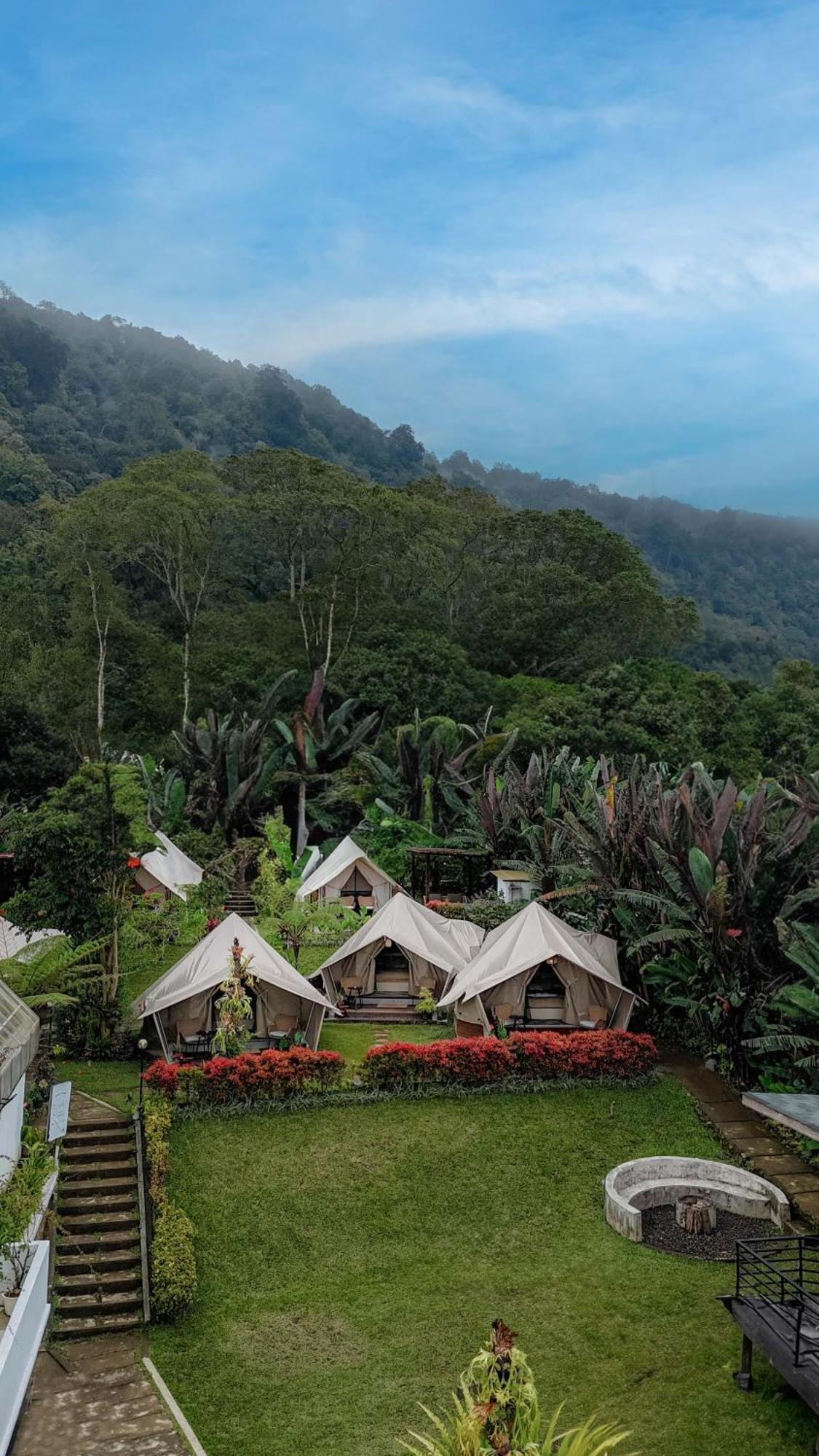 Alamu Eco Lodge Bedugul  Extérieur photo