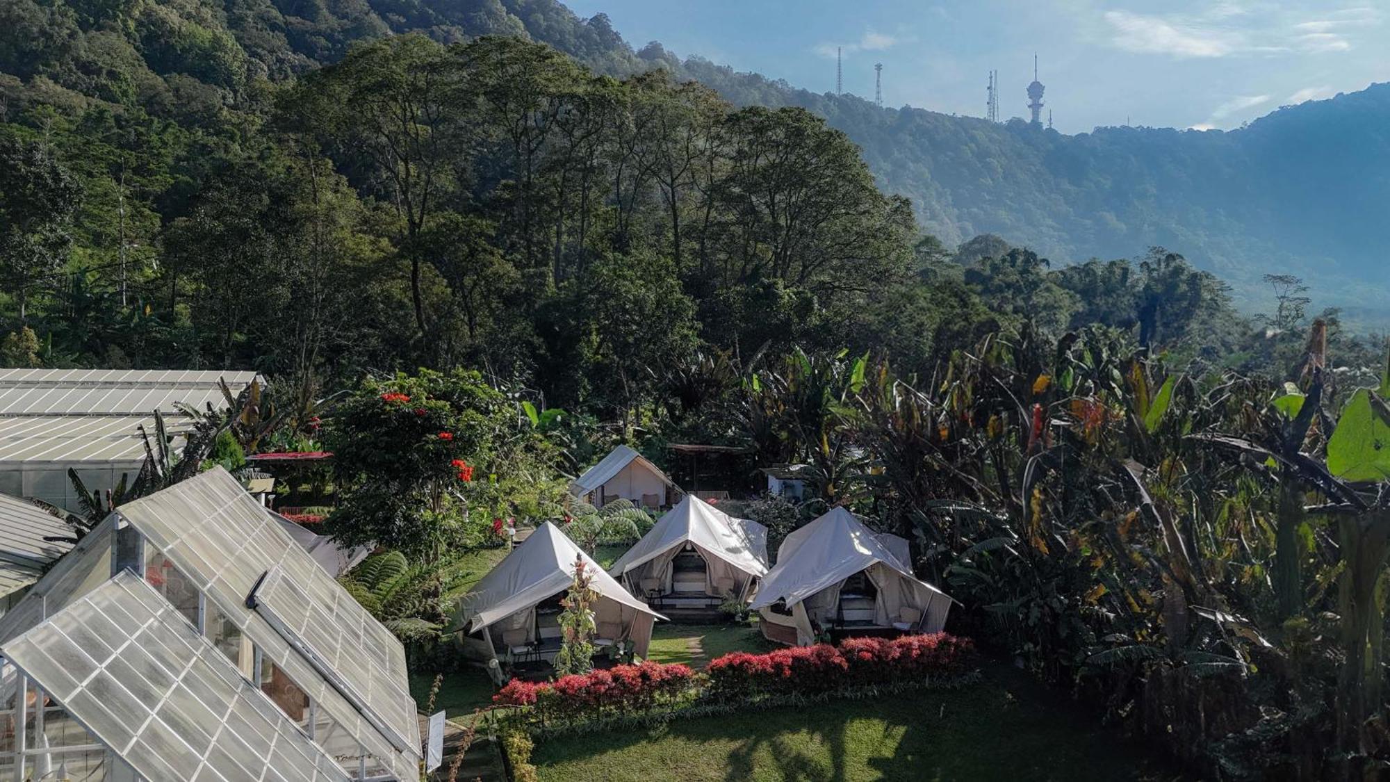Alamu Eco Lodge Bedugul  Extérieur photo