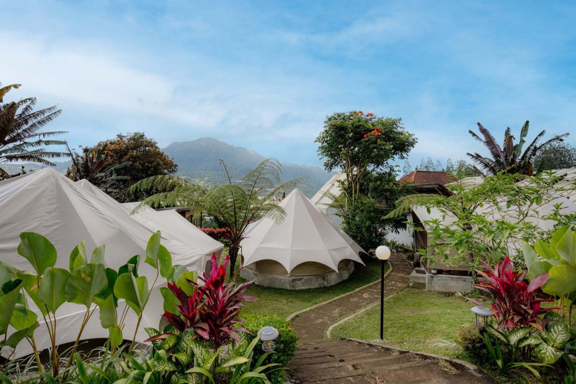 Alamu Eco Lodge Bedugul  Extérieur photo