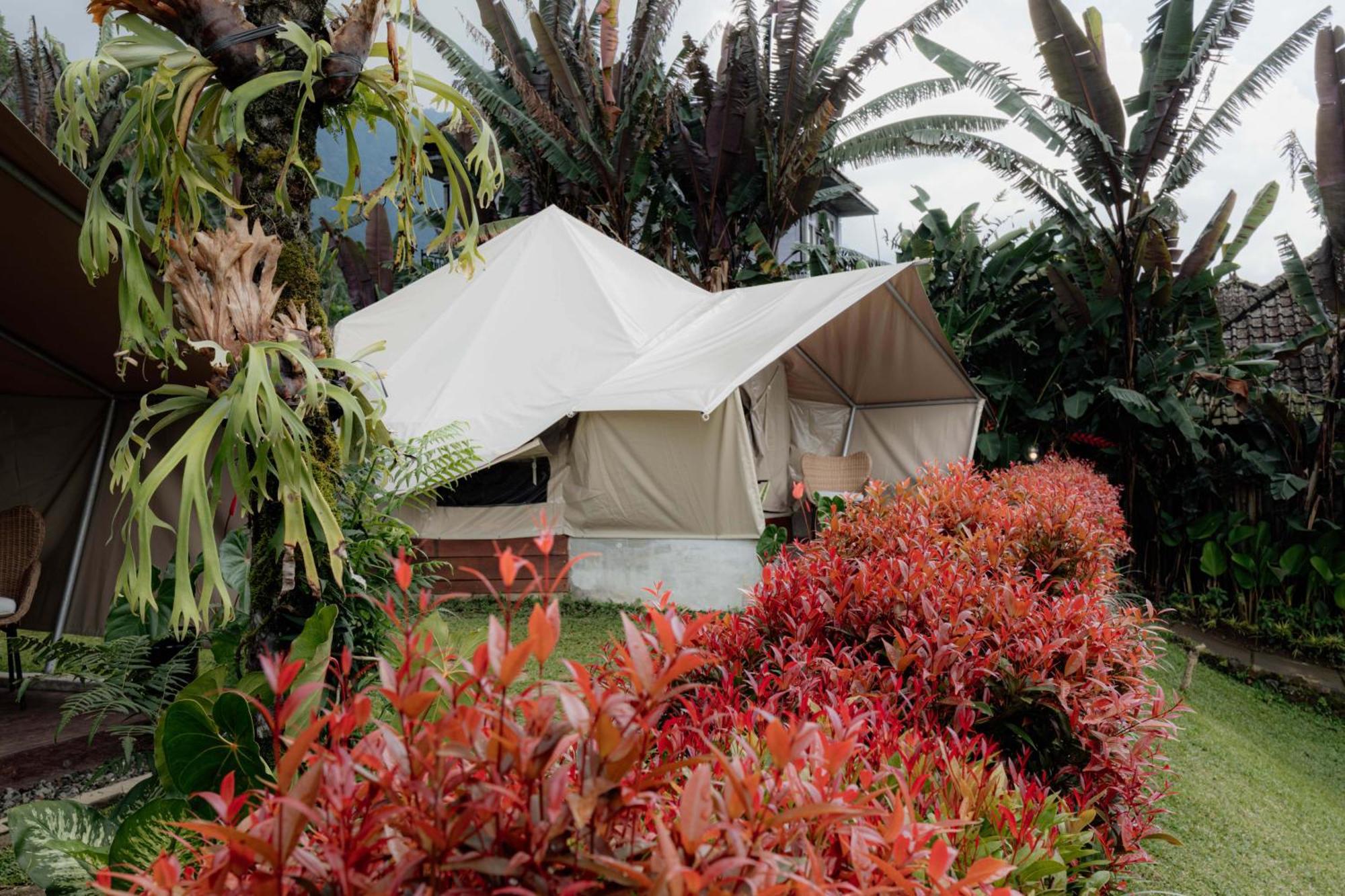 Alamu Eco Lodge Bedugul  Extérieur photo