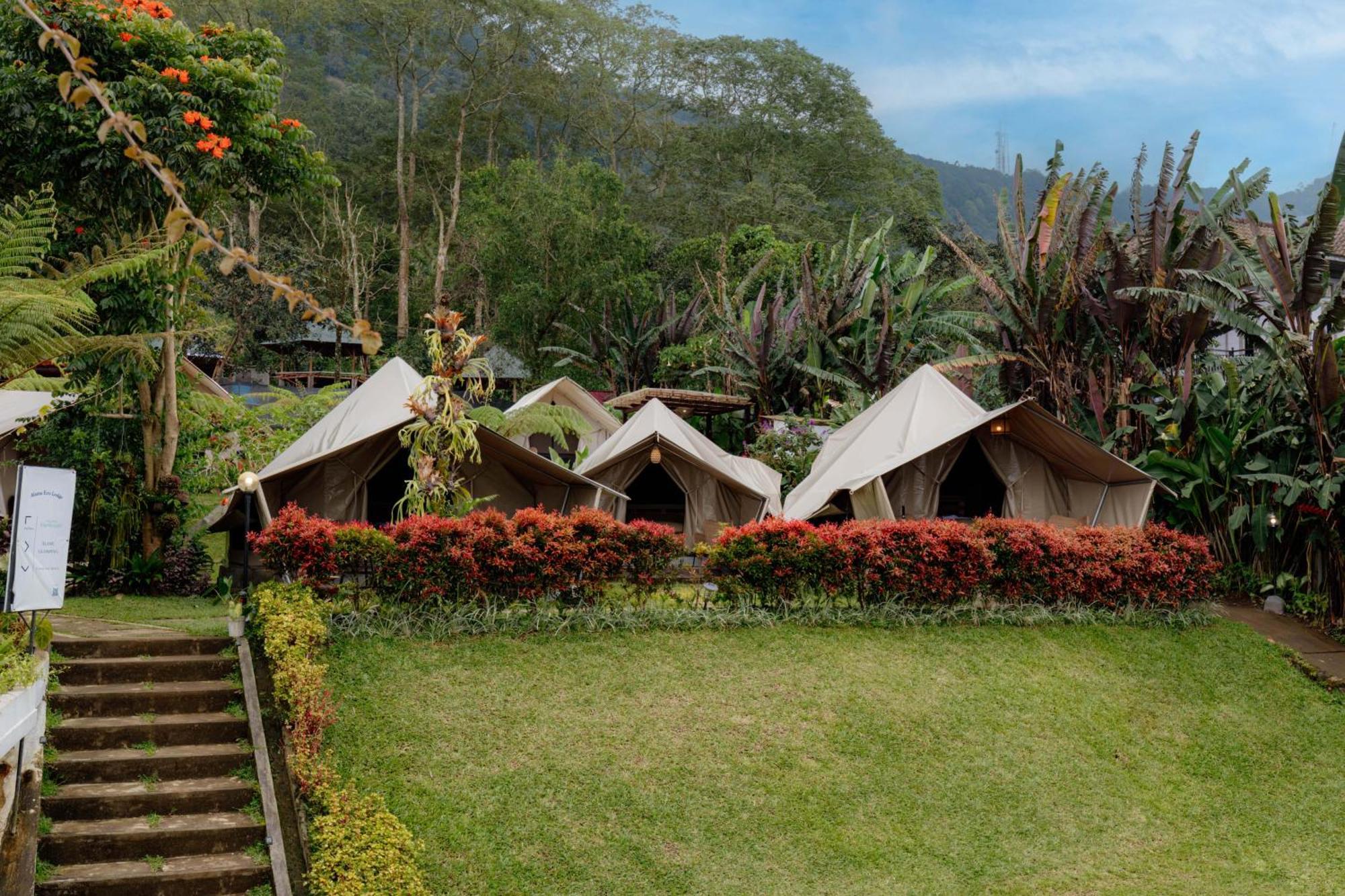 Alamu Eco Lodge Bedugul  Extérieur photo