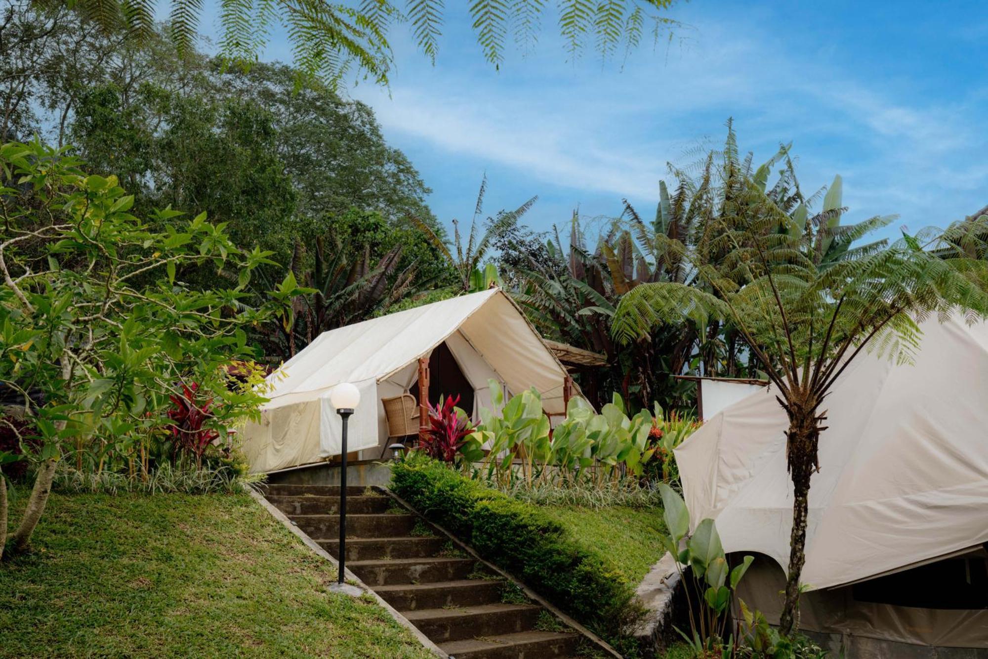 Alamu Eco Lodge Bedugul  Extérieur photo